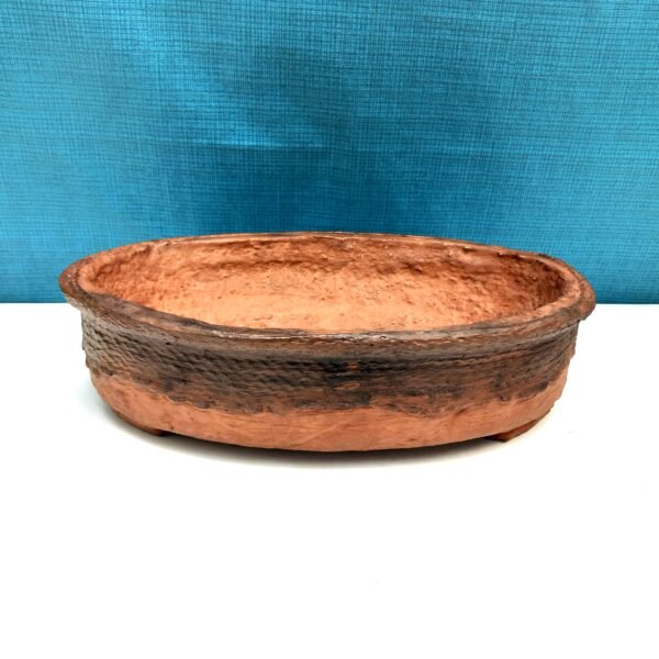 pot Bonsaï ovale couleur terre cuite – Image 3