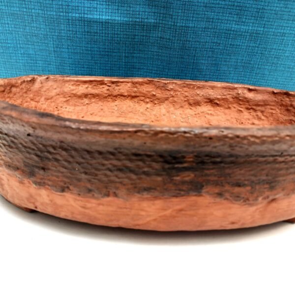 pot Bonsaï ovale couleur terre cuite – Image 10