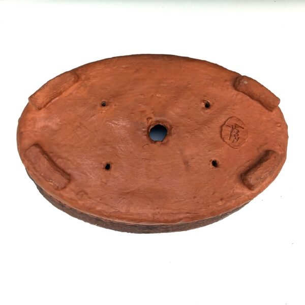 pot Bonsaï ovale couleur terre cuite – Image 8