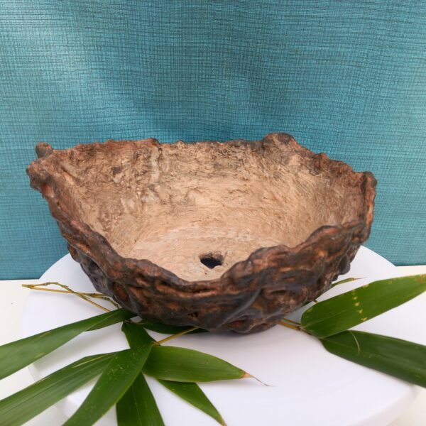 pot bas pour cactus succulente ou caudex