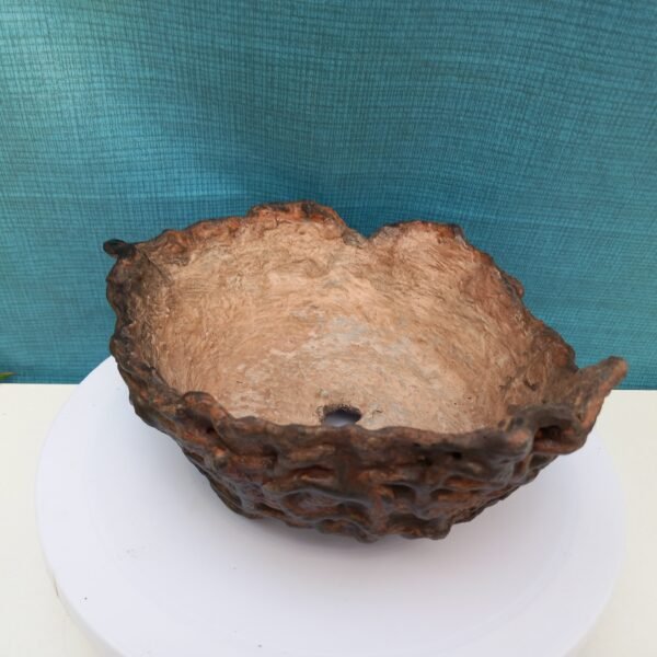 pot bas pour cactus succulente ou caudex – Image 3