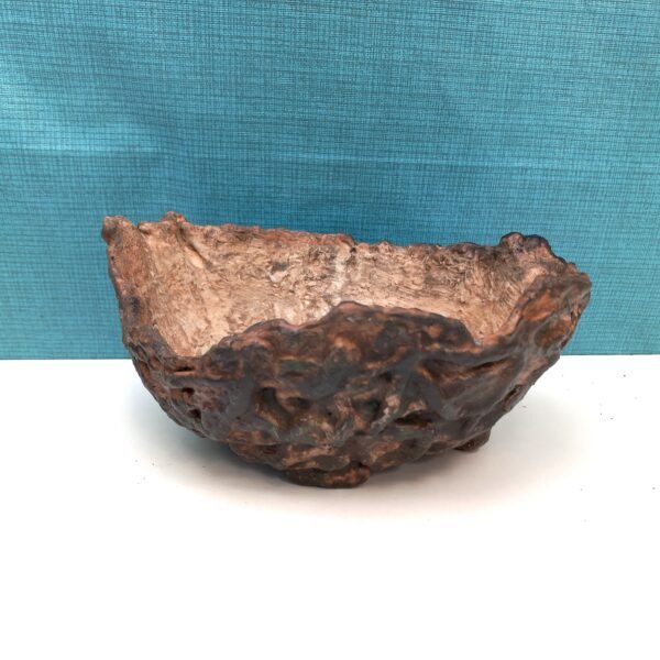 pot bas pour cactus succulente ou caudex – Image 2