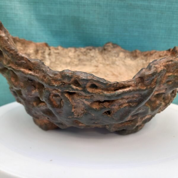 pot bas pour cactus succulente ou caudex – Image 9