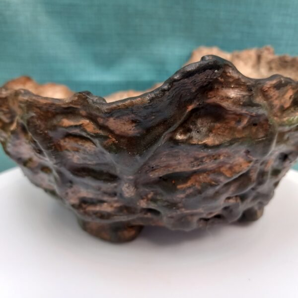 pot bas pour cactus succulente ou caudex – Image 10