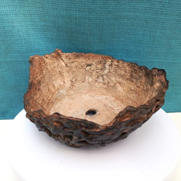 pot bas pour cactus succulente ou caudex – Image 5