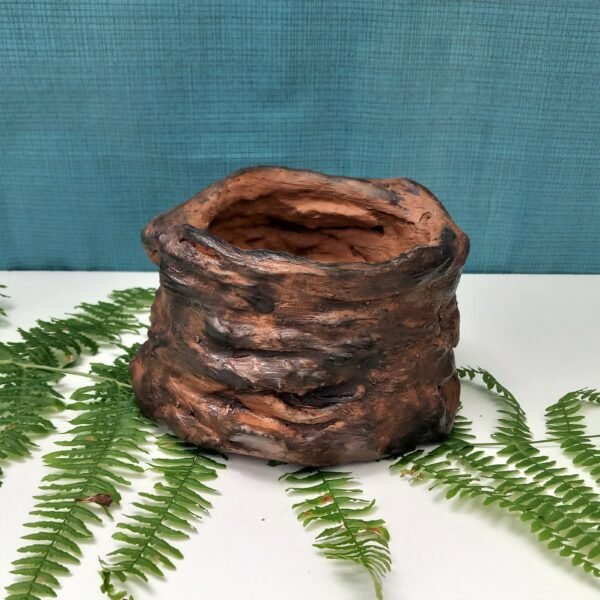 pot cactus, pot succulentes, pot plantes grasses, pots caudex,