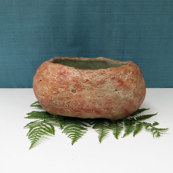 pot à cactus, pot à succulentes, pot pour  caudex – Image 4