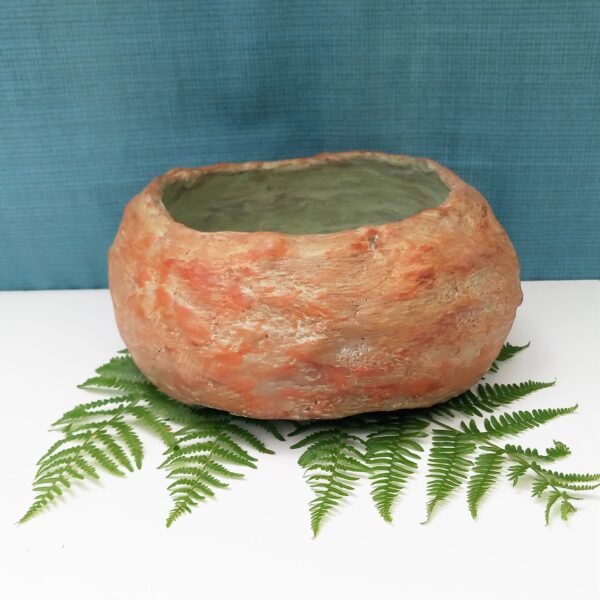 pot à cactus, pot à succulentes, pot pour  caudex – Image 2