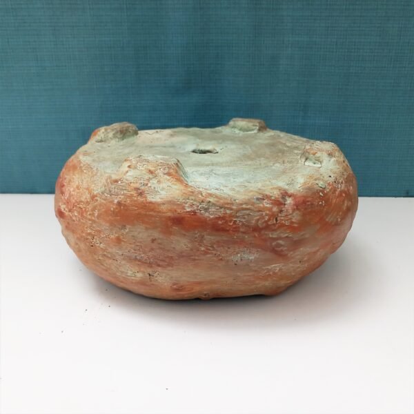 pot à cactus, pot à succulentes, pot pour  caudex – Image 8