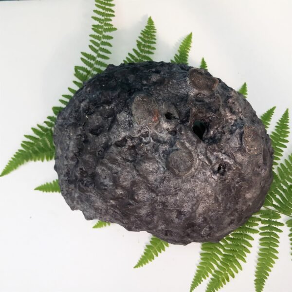 pot Bonsaï demi-lune aspect pierre – Image 8