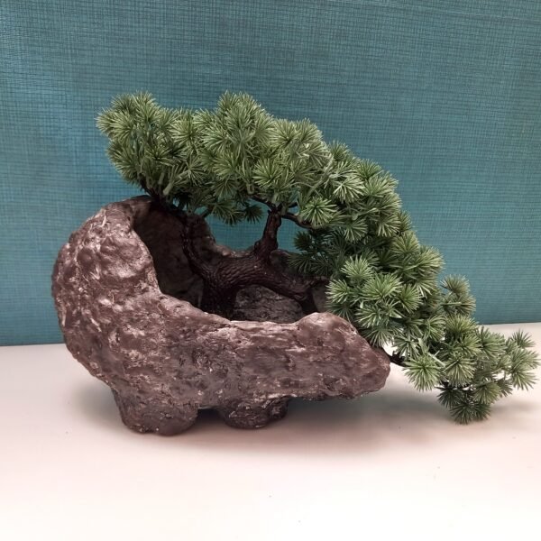 pot pour Bonsaï ou plante grasse – Image 2