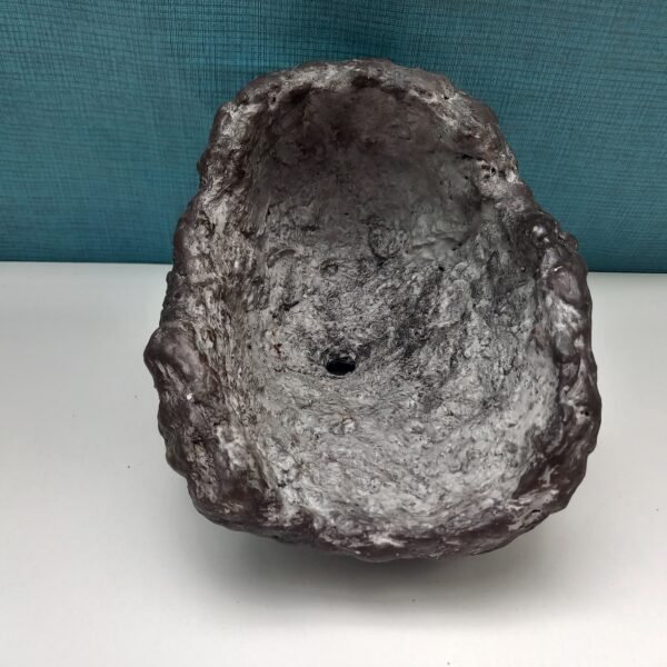 pot pour Bonsaï ou plante grasse – Image 5