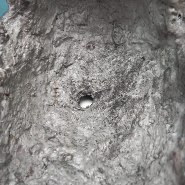 pot pour Bonsaï ou plante grasse – Image 10