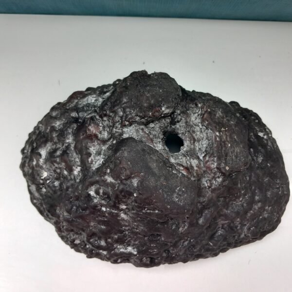 pot pour Bonsaï ou plante grasse – Image 7