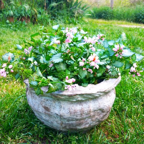 grand pot rond aspect pierre pour le jardin – Image 5
