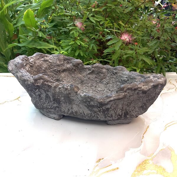 pot Bonsaï allongé aspect rocher – Image 5