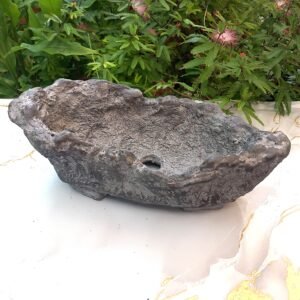 pot Bonsaï allongé aspect rocher