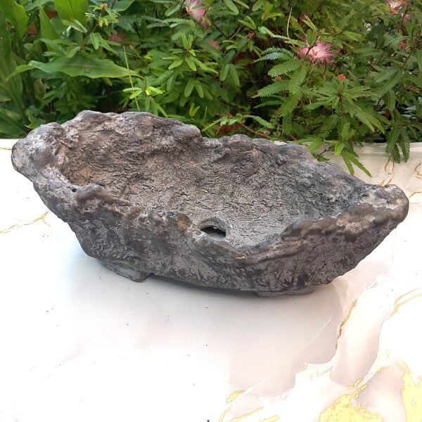 pot Bonsaï allongé aspect rocher