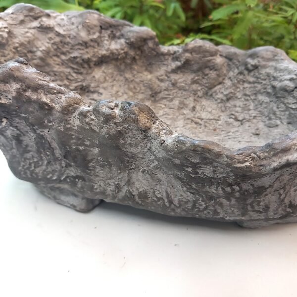 pot Bonsaï allongé aspect rocher – Image 12