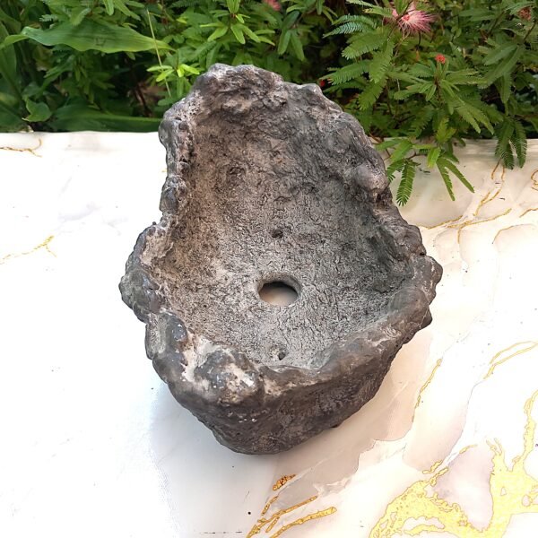 pot Bonsaï allongé aspect rocher – Image 11