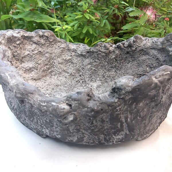 pot Bonsaï allongé aspect rocher – Image 8