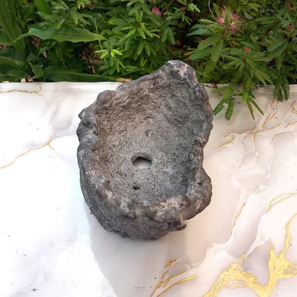 pot Bonsaï allongé aspect rocher – Image 9