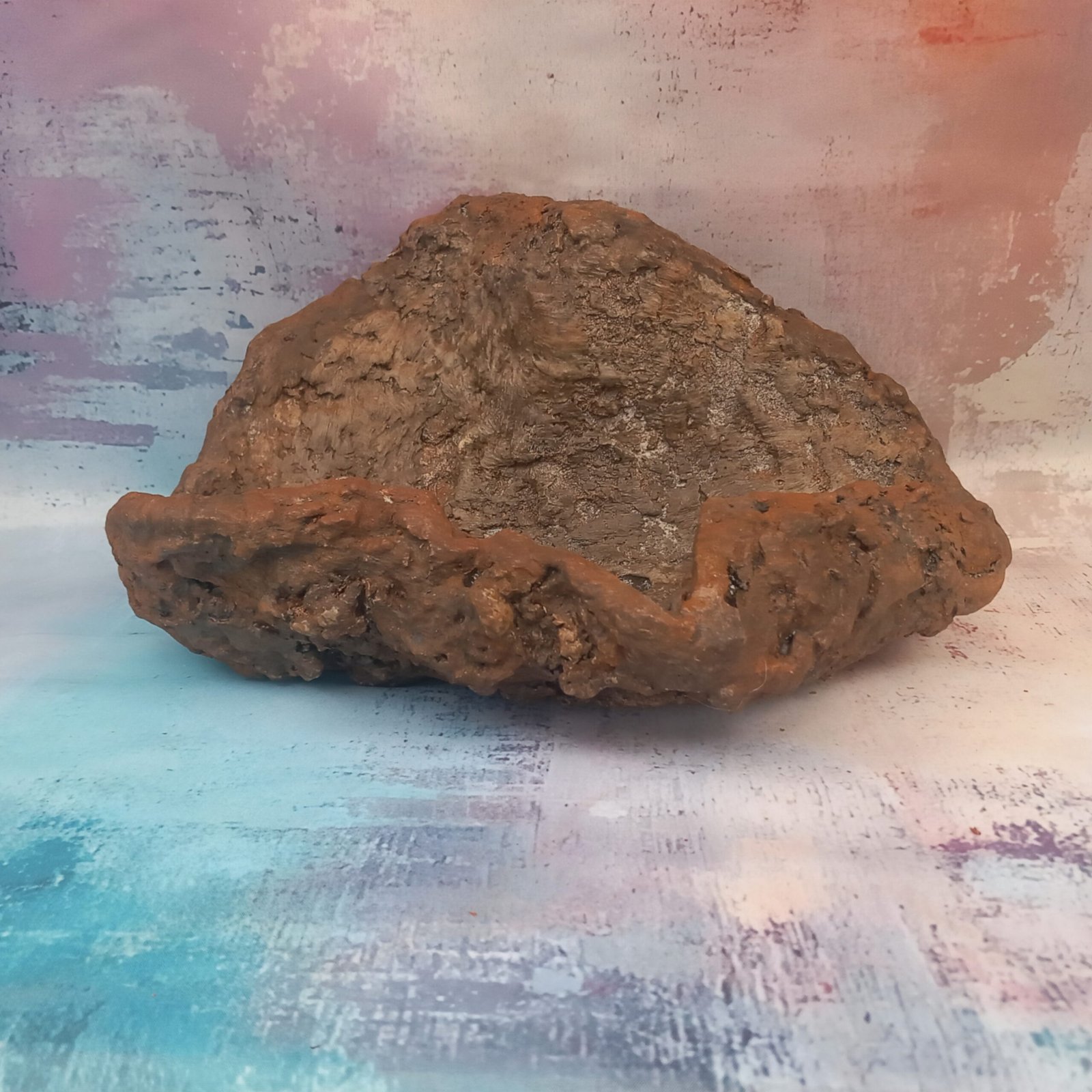 pot original pour bonsaï et plantes grasses