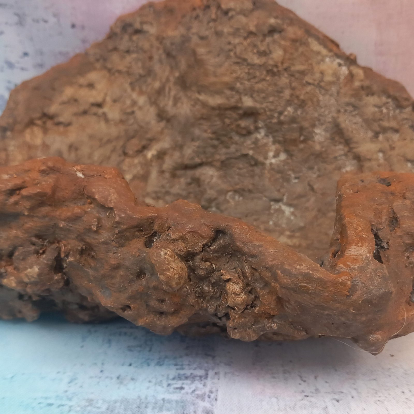 pot original pour bonsaï et plantes grasses – Image 11