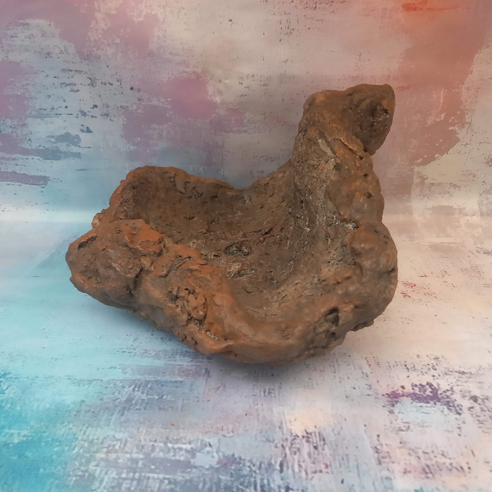 pot original pour bonsaï et plantes grasses – Image 4