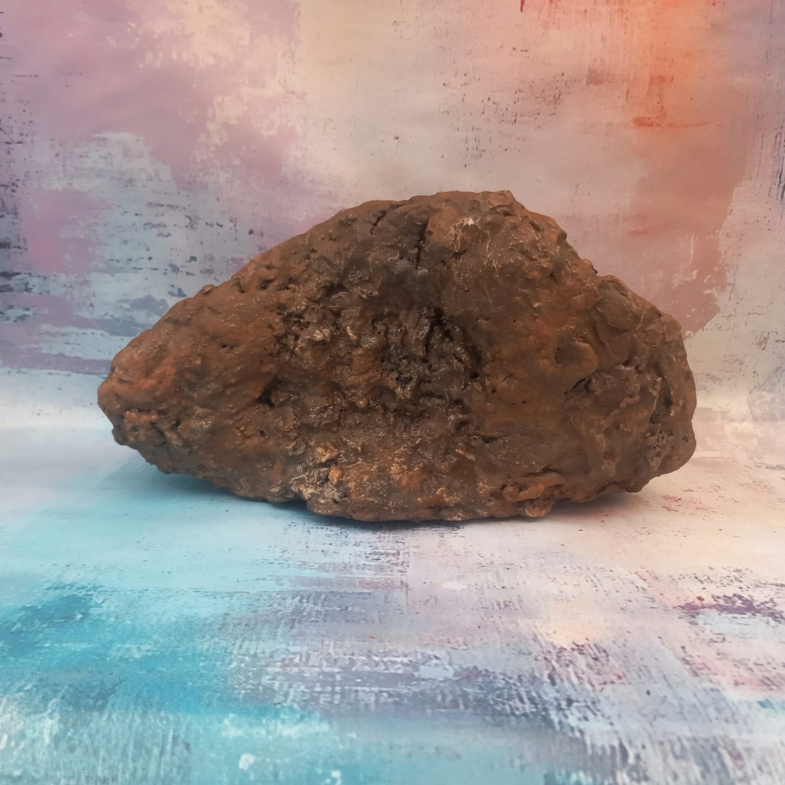 pot original pour bonsaï et plantes grasses – Image 13