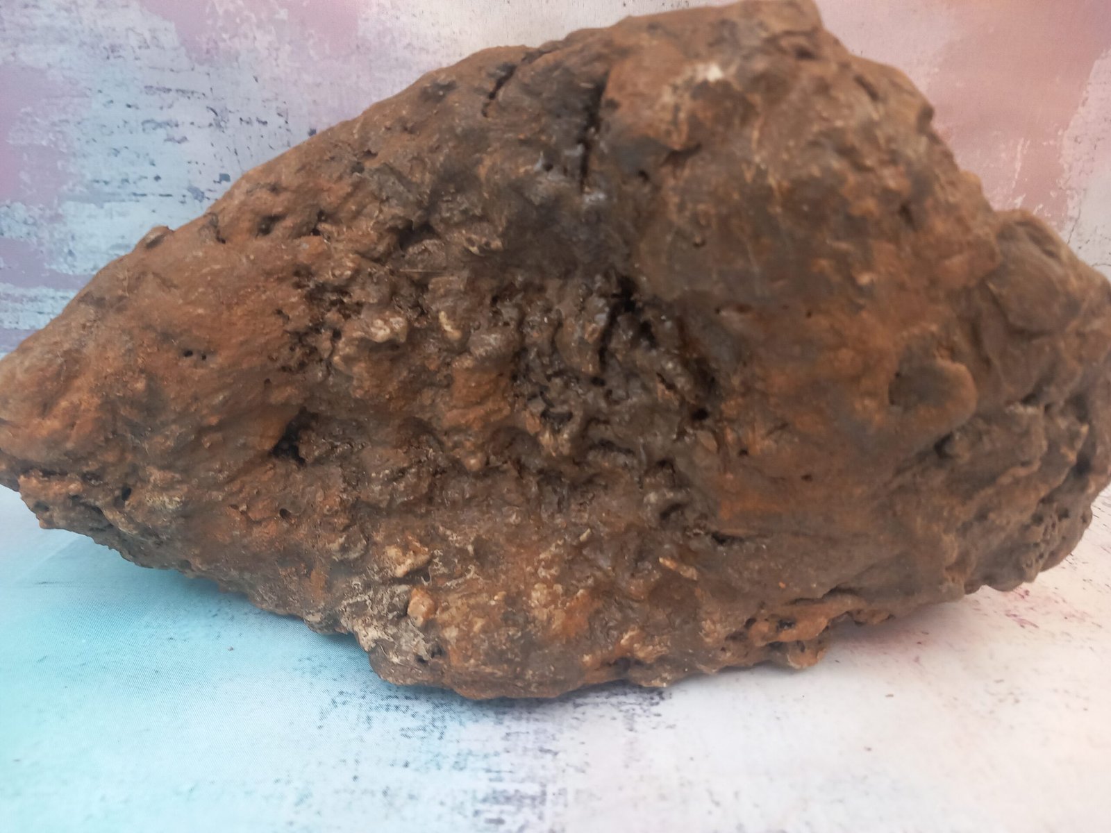 pot original pour bonsaï et plantes grasses – Image 12