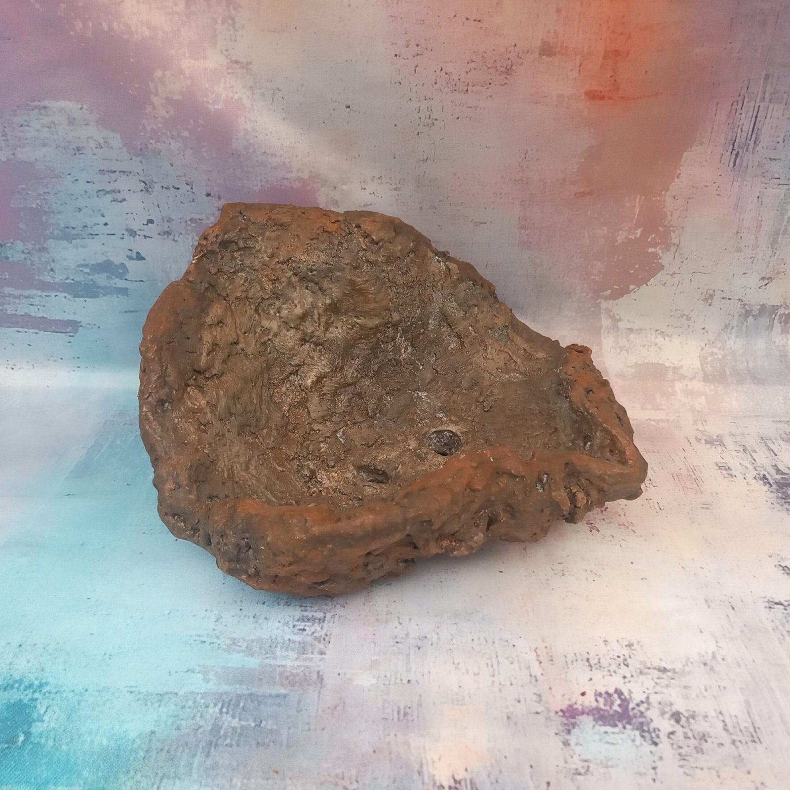 pot original pour bonsaï et plantes grasses – Image 5