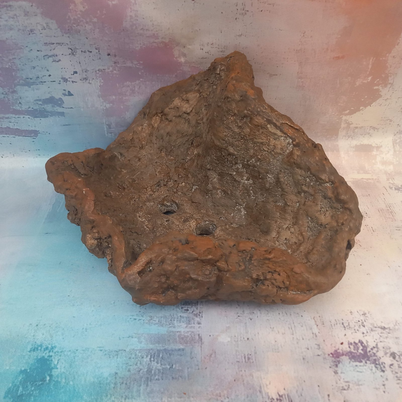 pot original pour bonsaï et plantes grasses – Image 8