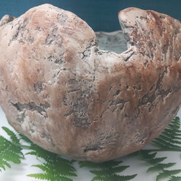 grand cache -pot boule – Image 9