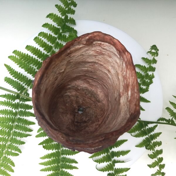 pot profond pour cactus et succulente – Image 6