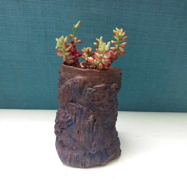 pot profond pour cactus et succulente – Image 11