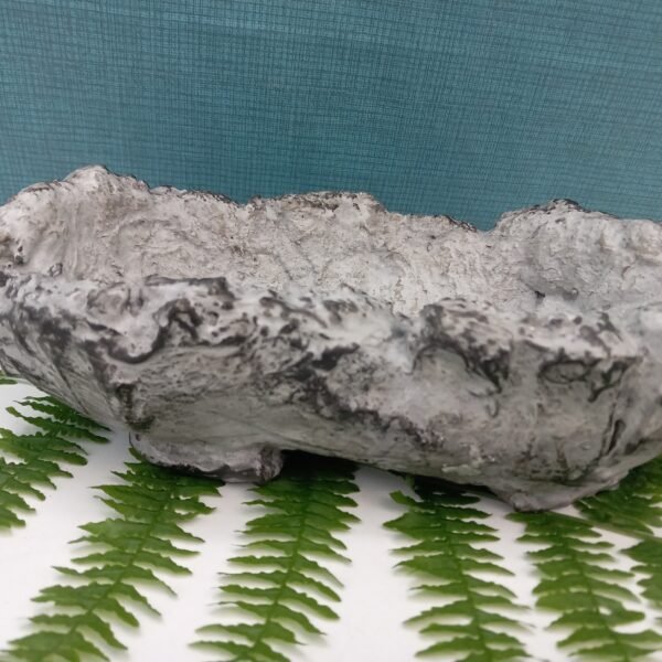 pot Bonsaï aspect roche – Image 10