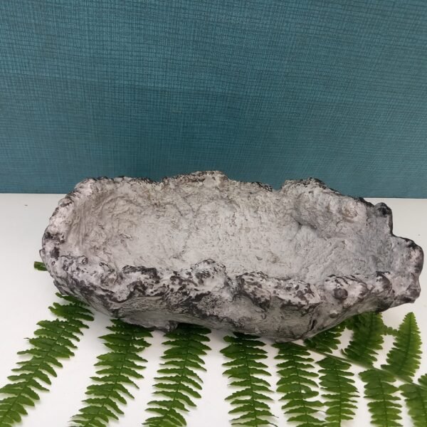 pot Bonsaï aspect roche – Image 4