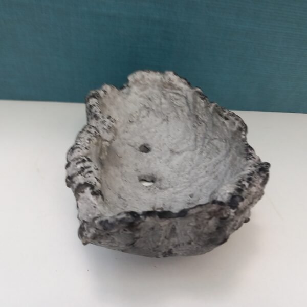 pot Bonsaï aspect roche – Image 6