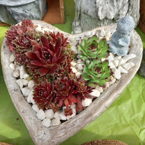 jardinière forme coeur pour l'extérieur – Image 2
