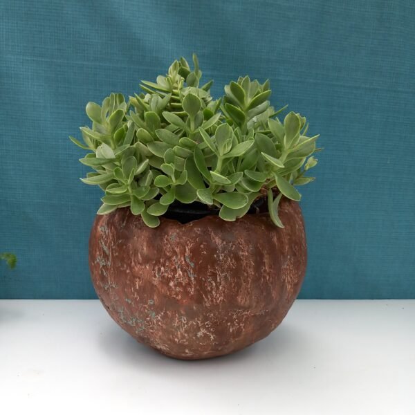 pot boule non-percé pour plante d'intérieur – Image 7