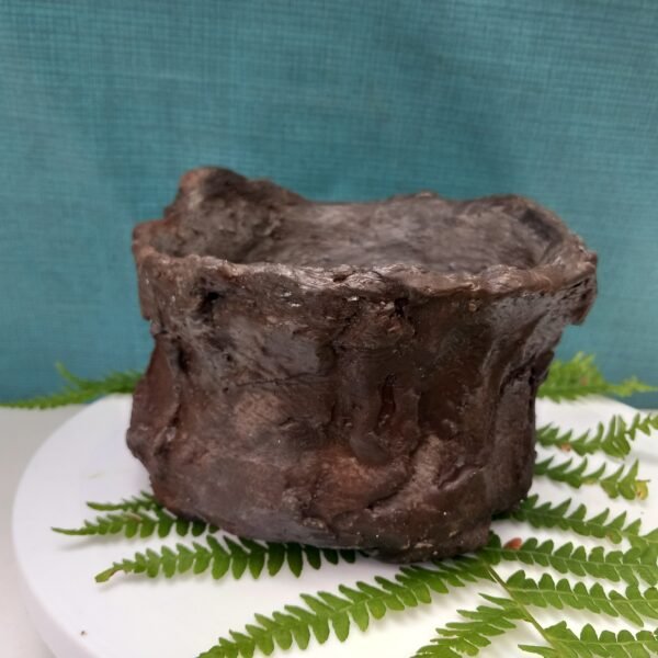 pot cactus  aspect gré – Image 12