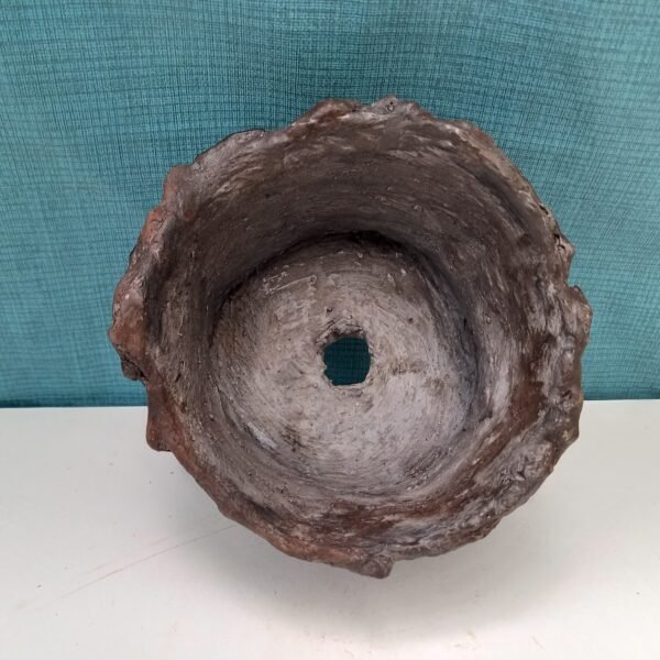pot cactus  aspect gré – Image 7