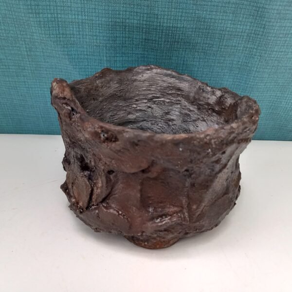 pot cactus  aspect gré – Image 2