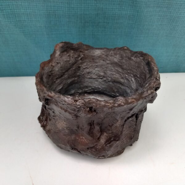 pot cactus  aspect gré – Image 13