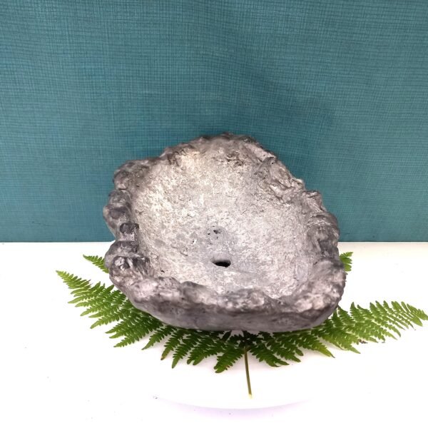 pot Bonsaï ovale aspect pierre grise – Image 5
