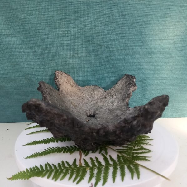 pot Bonsaï aspect rocher – Image 3