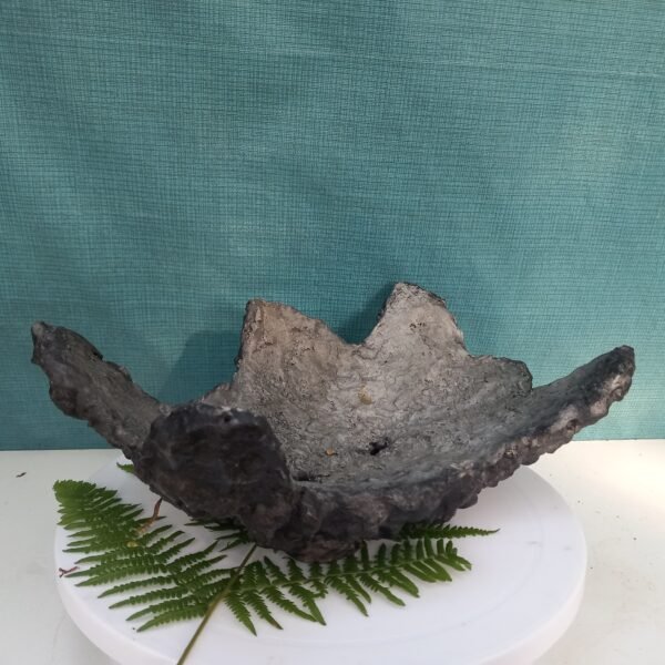 pot Bonsaï aspect rocher – Image 2