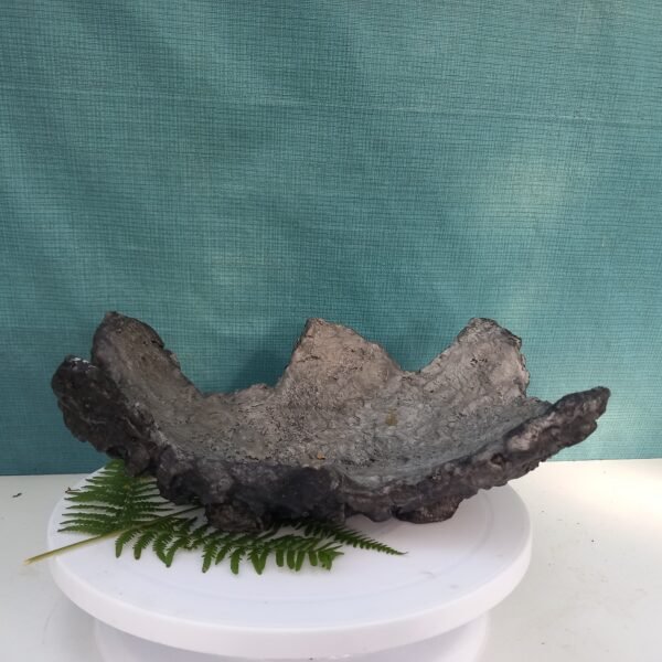 pot Bonsaï aspect rocher – Image 5