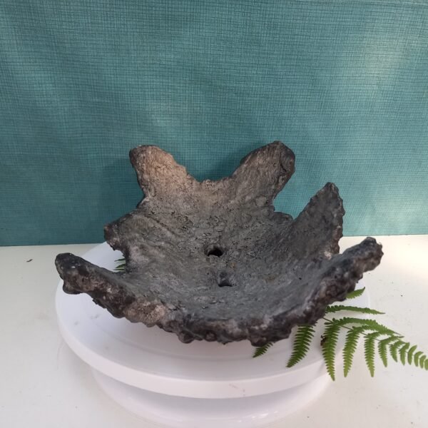 pot Bonsaï aspect rocher – Image 10